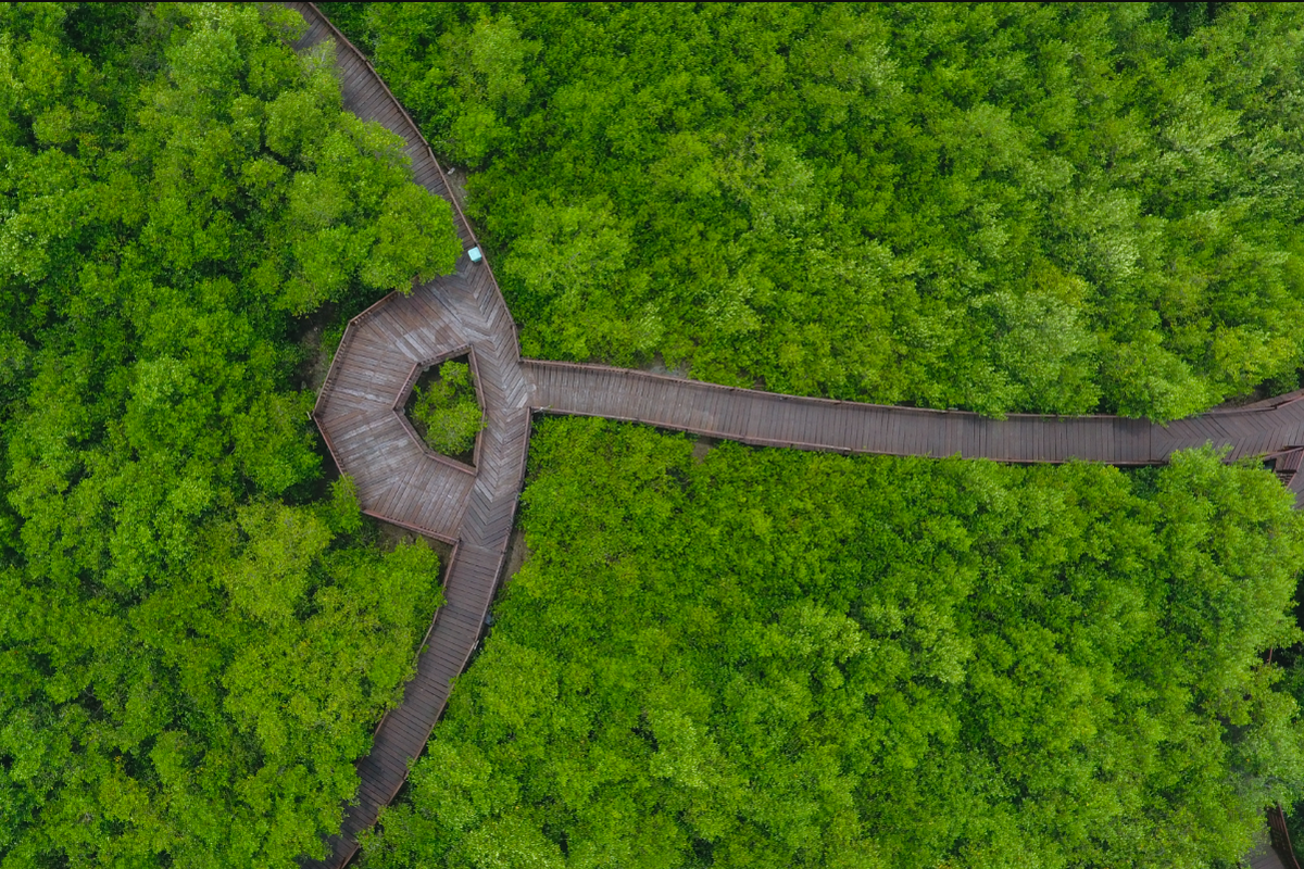 Kebun Raya Mangrove Surabaya merupakan kebun raya tematik mangrove yang pertama dan satu-satunya di Indonesia
