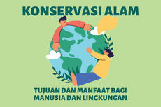 Tujuan serta Manfaat Konservasi Alam bagi Manusia dan Lingkungan 