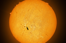 Menteri P2MI Dorong Brain Circulation Lewat Program Pemberdayaan Purna PMI