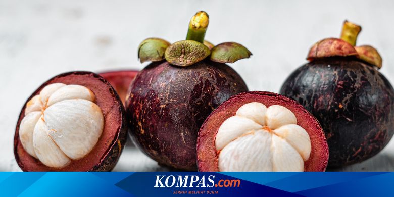 Buah manggis kebaikan Buah Manggis