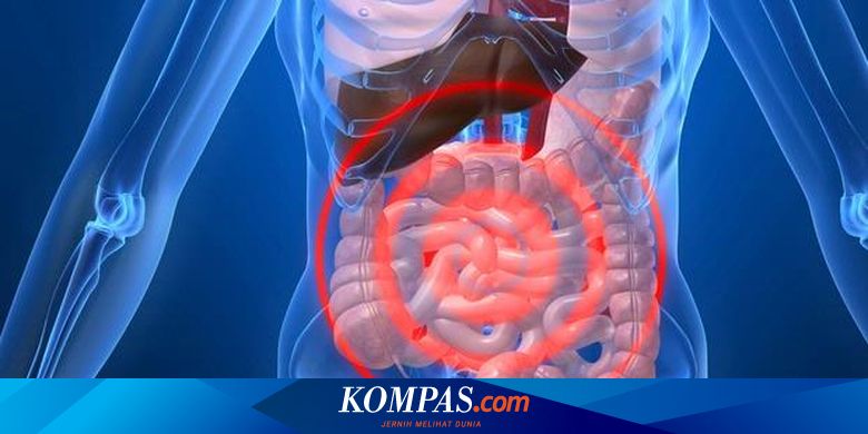 Penyakit Yang Diam Diam Mematikan Halaman All Kompas Com