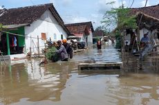 307 KK di Lumajang Terdampak Banjir, Ketinggian Air Sampai 100 Centimeter 