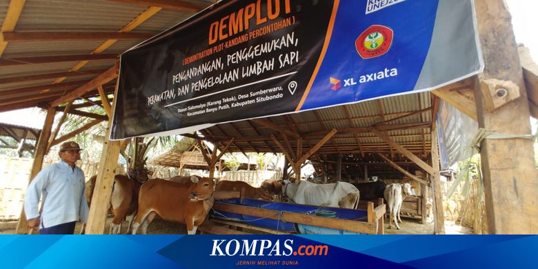 Banner Toko Pakan Ternak contoh desain spanduk