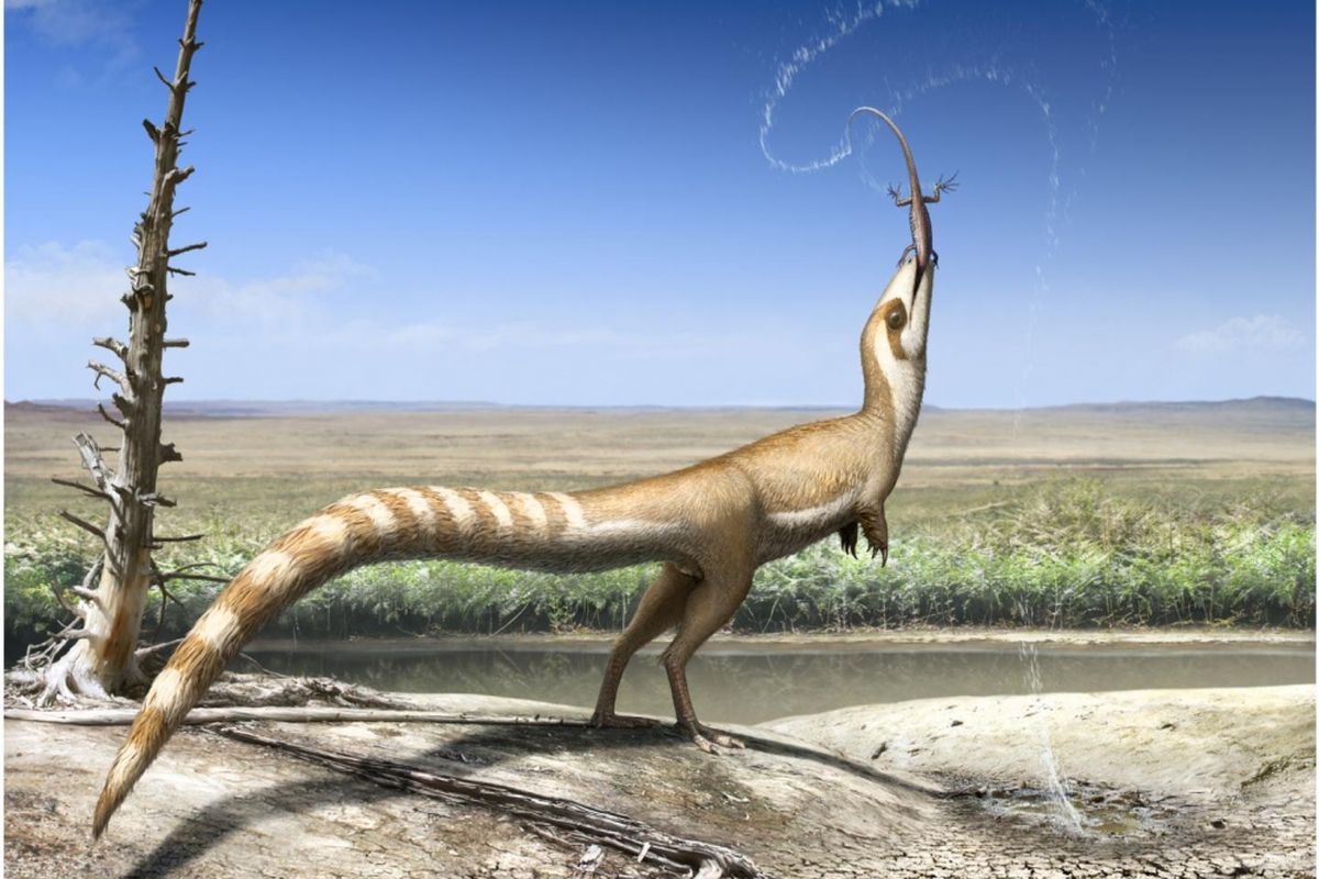 Sinosauropteryx