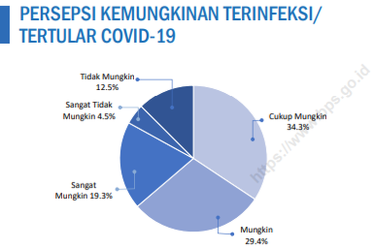 Tangkapan layar hasil survei persepsi kemungkinan terinfeksi/tertular Covid-19 dari BPS