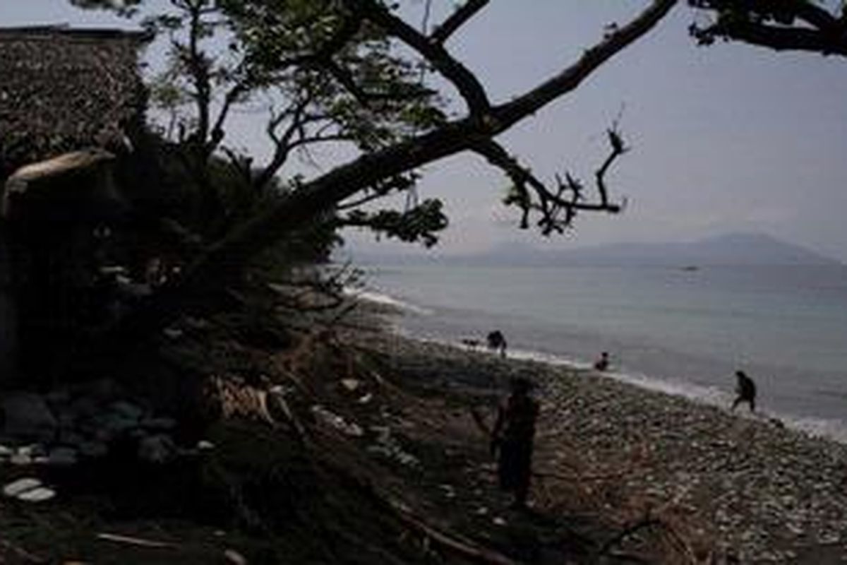 Warga Desa Raporendu, di pesisir selatan Kecamatan Nangapanda, Kabupaten Ende, Flores, NTT meminta bantuan pemkab membangun tanggul penahan abrasi.