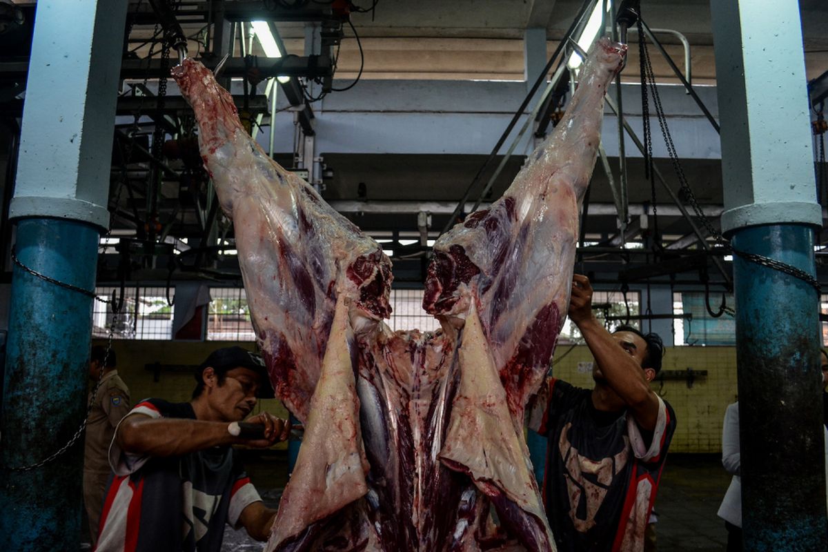 Pekerja memotong daging sapi di Rumah Pemotongan Hewan (RPH) Dinas Pertanian dan Ketahanan Pangan di Bandung, Jawa Barat, Senin (26/2). Pemerintah memperkirakan total produksi daging sapi nasional sepanjang 2018 mencapai 403.668 ton dan perkiraan kebutuhan daging sapi di dalam negeri 2018 sebesar 663.290 ton. ANTARA FOTO/Khairizal Maris/aww/18.