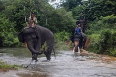 Pernikahan Tinggal 3 Hari, Fadil dan Lulu Putar Otak Usai WO Ayu Puspita Terseret Penipuan