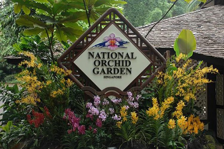 National Orchid Garden, Singapore Botanic Gardens.