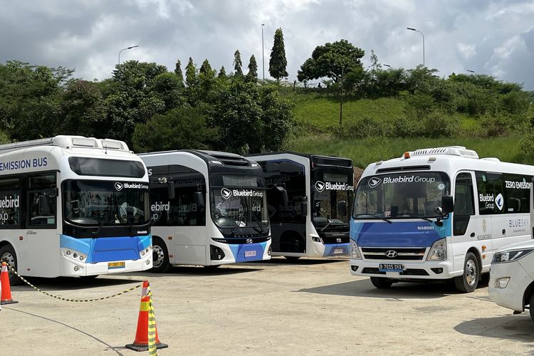 Lima unit bus listrik didatangkan PT Blue Bird Tbk untuk mendukung mobilitas pintar di Ibu Kota Nusantara (IKN).