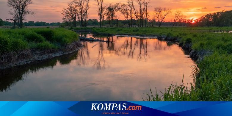 Debit Air Sungai Tiba-tiba Naik, 7 Anak di Padang Terjebak - Vimarsana News