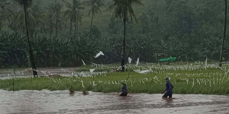 Berita Harian Banjir Bandang Terjang Bima Terbaru Hari Ini - Kompas.com