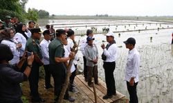 Tingkatkan Produksi Beras di Jateng, Kementan Beri Bantuan 10.000 Unit Pompa Air
