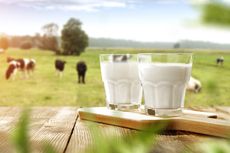 Ini 7 Manfaat Minum Susu Sapi