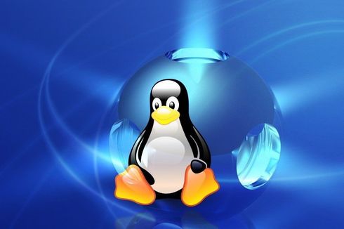 Kata Google, Linux Lebih Aman Dibanding Windows atau MacOS