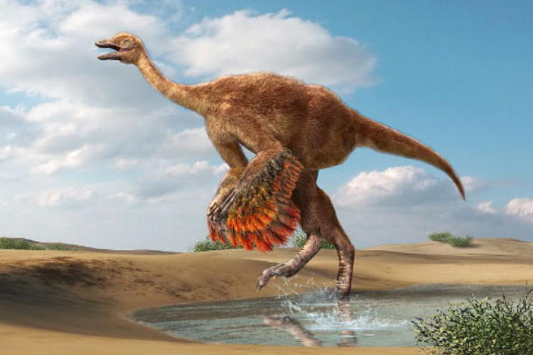 Ilustrasi  ornithomimosaurus  
