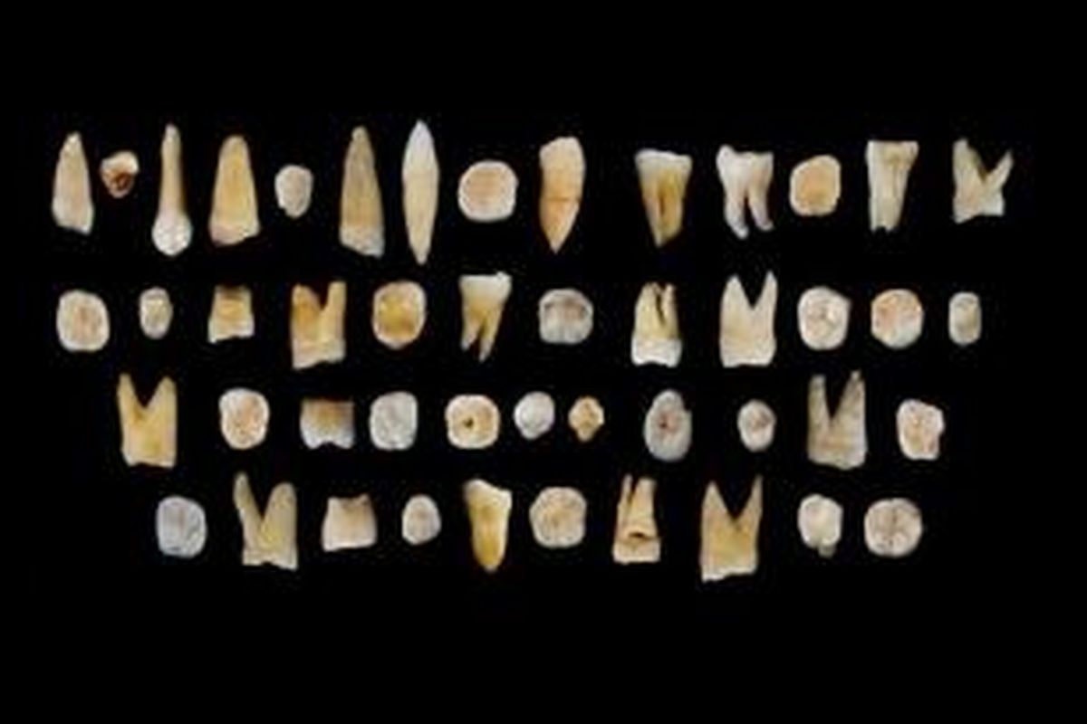 Fosil di Daoxian berusia 80.000 tahun, menjadi petunjuk penyebaran manusia di Asia.