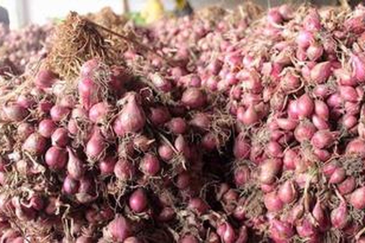 Pasokan bawang merah di musim penghujan ini berkurang. Akibatnya harga bawang merah kualitas super menjadi tinggi yaitu yang biasanya Rp 12.000 per kg naik menjadi Rp 18.000 per kg. 