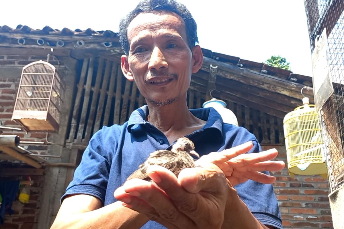 Hadi Suwignyo (59), salah satu guru di Madrasah Aliyah An-nawawi Berjan Purworejo yang sukses membudidayakan burung perkutut beromzet hingga jutaan rupiah.