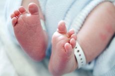 Mayat Bayi dalam Kardus Itu Dibawa oleh Ibunya, Lalu Diletakkan di Rumah Pacarnya