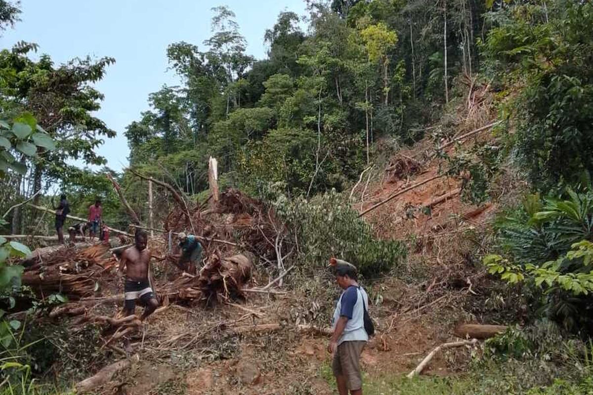 Longsor Tutup Jalan Pengubung Kabupaten Keerom ke Kabupaten Pegunungan Bintang di Distrik Towe