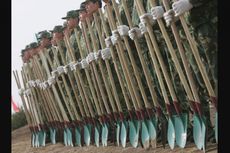 Lawan Polusi Udara, Militer China Kerahkan 60.000 Tentara Tanam Pohon