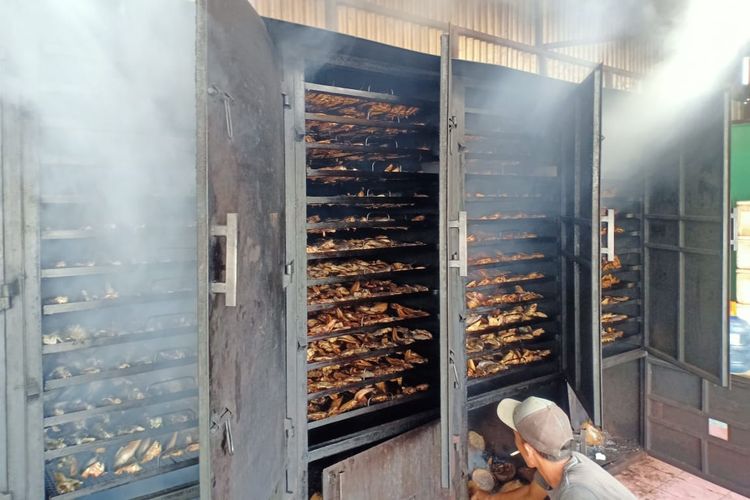 Ilustrasi pengasapan ikan menggunakan asap tempurung kelapa di Si Pujuk Farm,