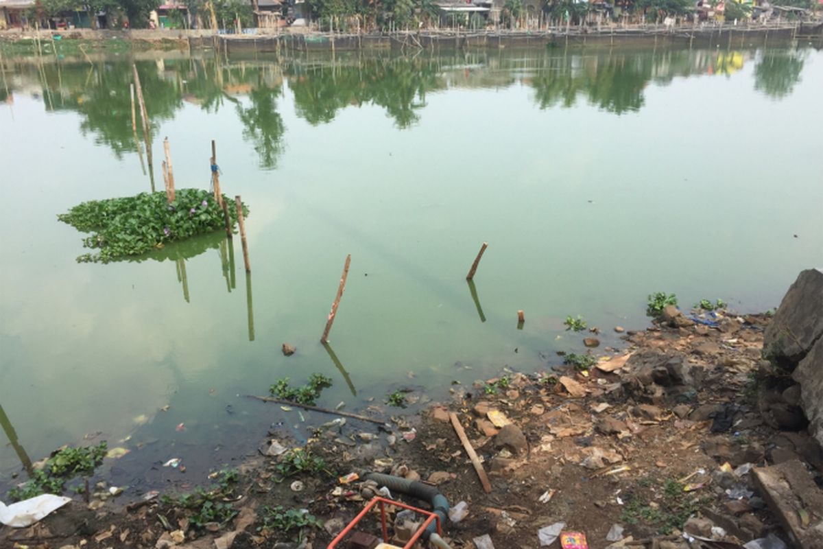 Situ Rawa Kalong, di Jalan Rawa Kalong, Kelurahan Curug, Kecamatan Cimanggis, Depok, Jawa Barat  terlihat tercemar.