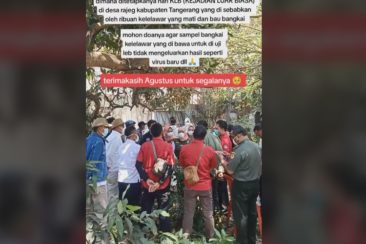 Viral bau bangkai ternyata bangkai kelelawar di Desa Rajeg, Tangerang