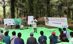 Perkuat Eksistensi Kelapa Sawit Berkelanjutan,  ANJ Dorong Petani melalui Pelatihan untuk Tingkatkan Ketertelusuran
