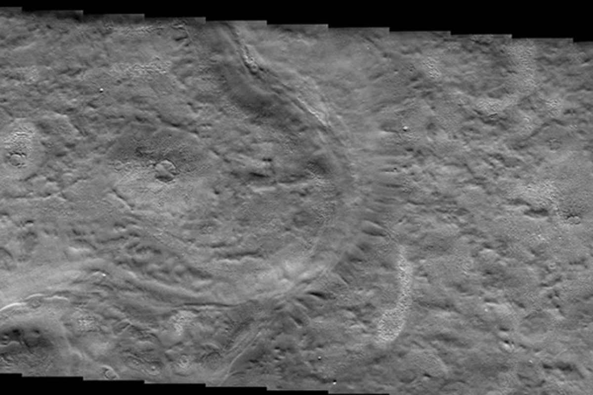 Tekstur Arcadia Planitia, ditangkap pada tahun 2001 oleh pesawat ruang angkasa Mars Odyssey. Studi baru menduga ada gletser mirip Antartika di dalamnya.