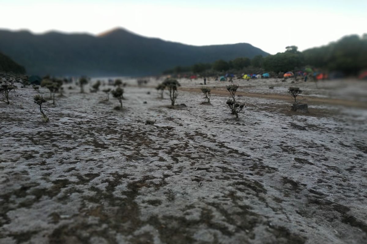 Kristal es di Suryakencana Gunung Gede, Jawa Barat, Minggu (6/10/2019).