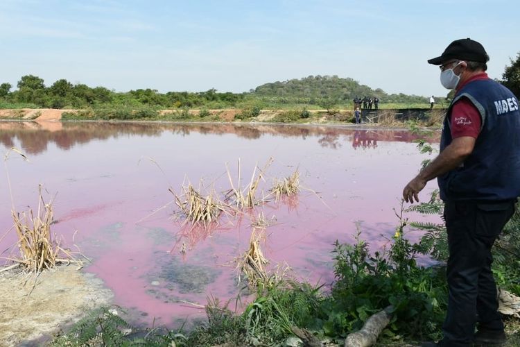 Air di laguna Paraguay berubah warna jadi ungu dan berbau busuk. Penelitian saat ini karena pencemarah limbah penyamakan kulit.