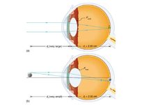 Akomodasi Mata: Pengertian dan Mekanismenya