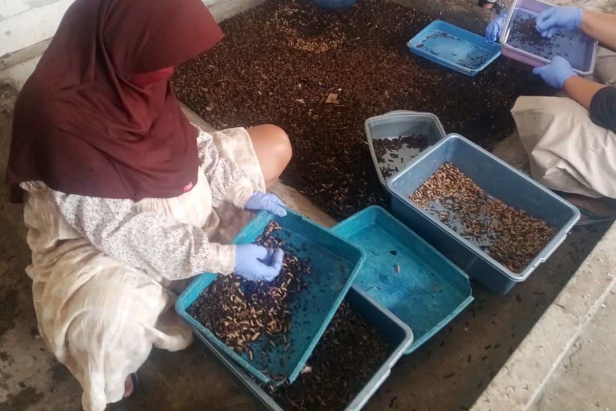 Pengolahan sampah organik berbasis komunitas pemulung di Kecamatan Duren Sawit, Jakarta Timur.