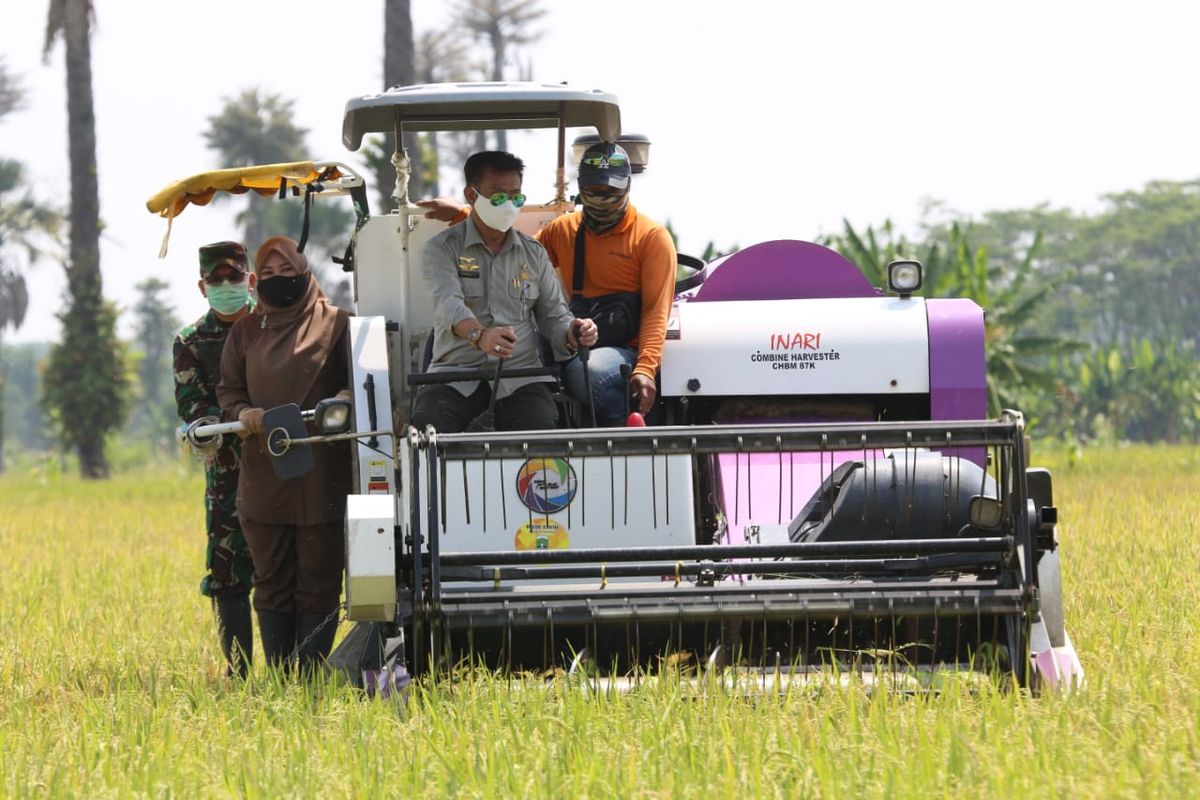 Menteri Pertanian Syahrul Yasin Limpo bersama Bupati Pandeglang Irna Narulita saat menghadiri panen padi inbrida di Desa Tanjung Jaya, Kecamatan Panimbang, Kabupaten Pandeglang, Banten , Kamis (23/4/2020).
