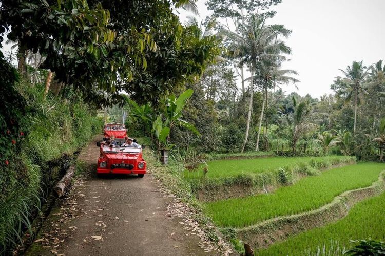Aktivitas di Desa Wisata Undisan di Kabupaten Bangli, salah satu desa wisata yang masuk 50 besar ADWI 2022.