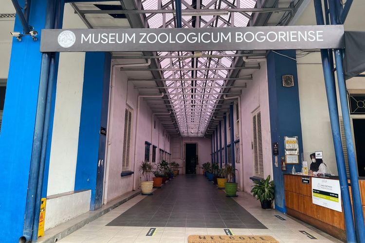 Pintu masuk Museum Zoologi Bogor. 