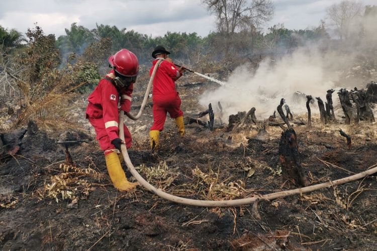 Petugas Manggala Agni Dumai berjibaku memadamkan api karhutla di Kelurahan Gurun Panjang, Kecamatan Bukit Kapur, Kota Dumai, Riau, Jumat (4/8/2023).
