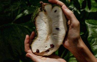 Buah dan Daun Sirsak Diklaim Lebih Efektif Bunuh Kanker, Bagaimana ...