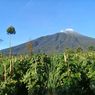 Jalur Gunung Slamet Ikut Tutup Saat 