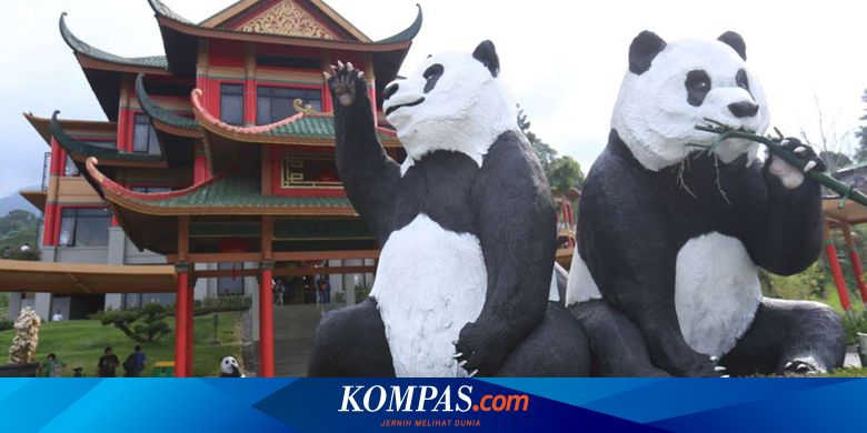 Bagaimana Cara Menuju Istana Panda Di Taman Safari Cisarua