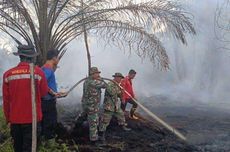 Kebakaran Hutan dan Lahan di Siak, Petugas Pemadam Kerja Sampai Malam