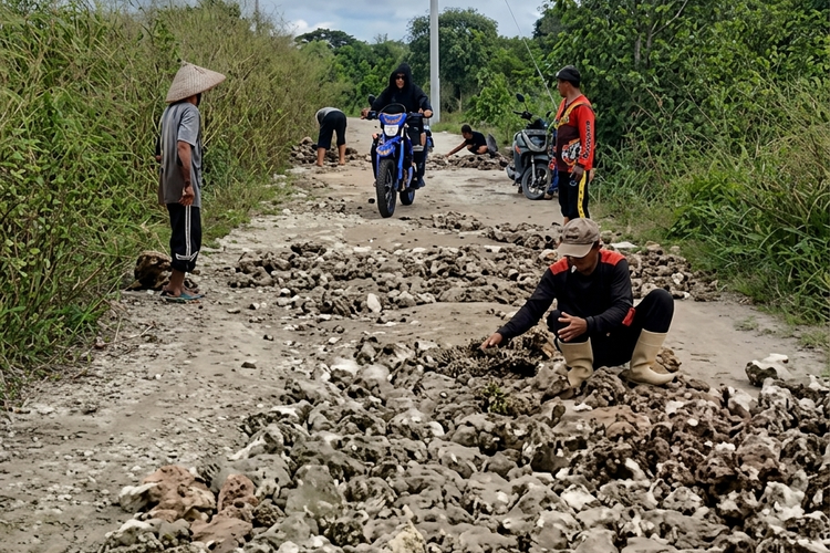 Warga Sumenep Swadaya Perbaiki Jalan yang Rusak 10 Tahun