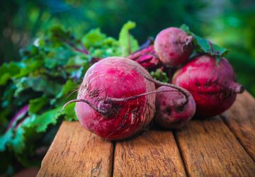 10 Manfaat Buah Bit untuk Kesehatan, Cegah Anemia hingga Jadi Pewarna Rambut