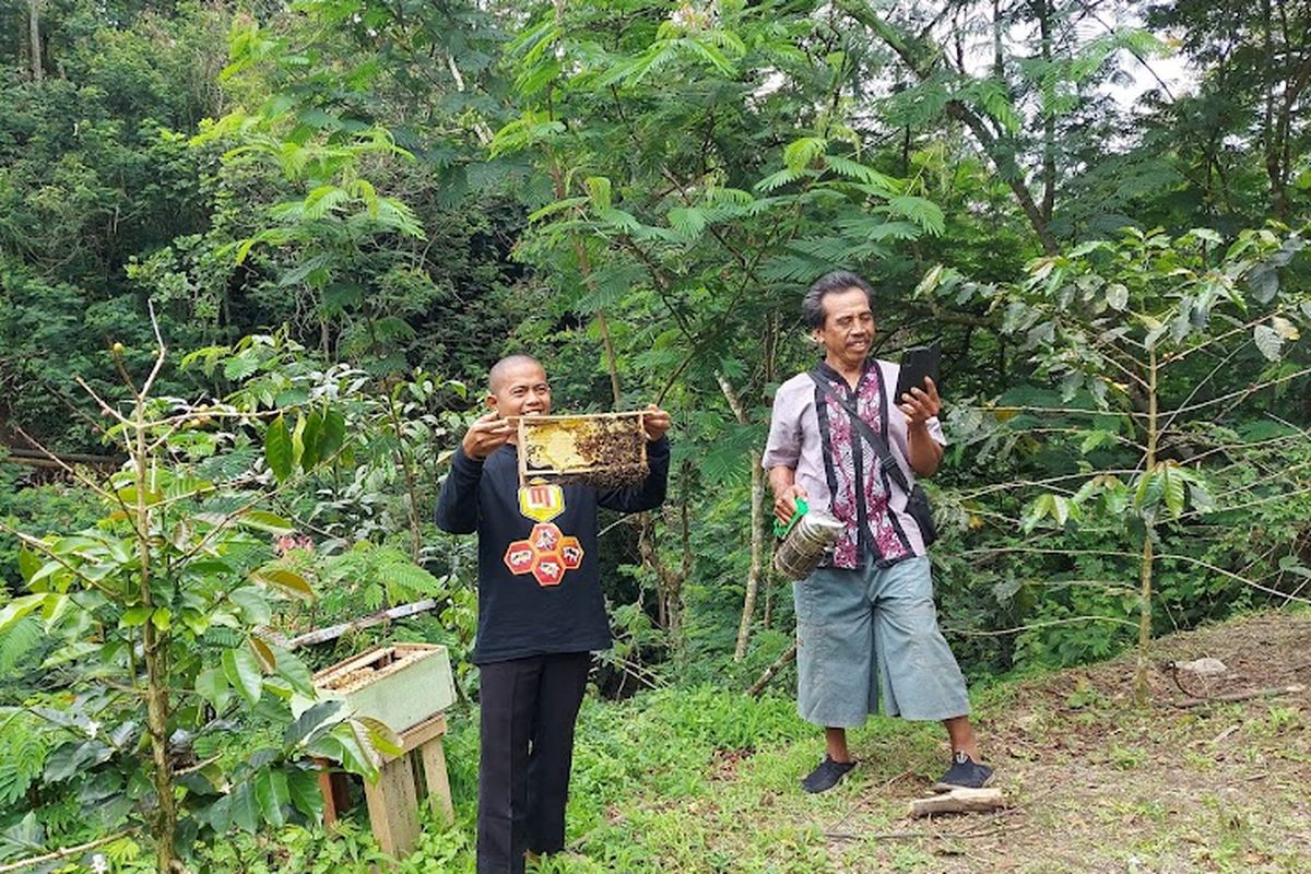 Peternak madu dari Kabupaten Simalungun Sumatera Utara, Slamet Suryadi memamerkan koloni lebah yang dibudidayakannya, Minggu (12/12/2021)