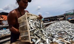 KKP Dorong Ratusan UMKM Pengolahan Ikan Naik Kelas