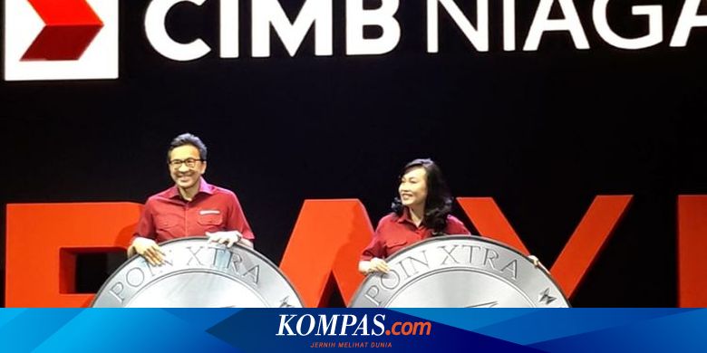 CIMB Niaga prepares Lani Darmawan as Deputy President ...