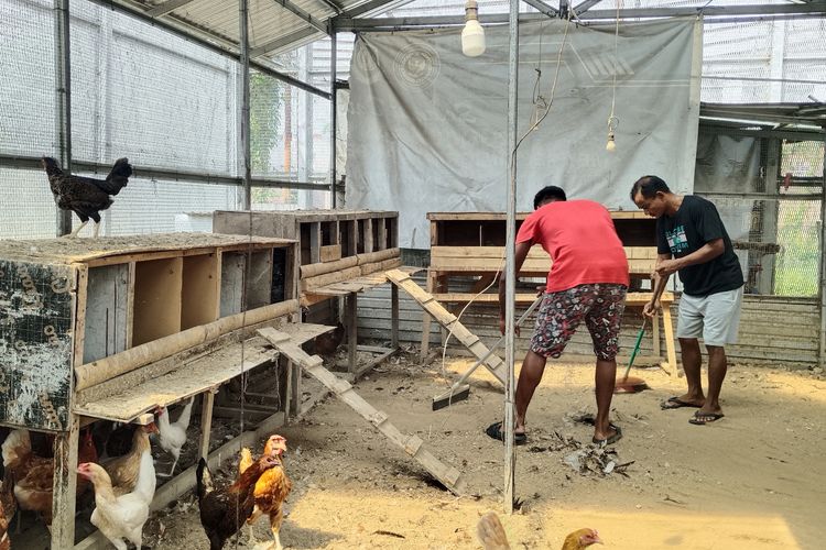 Bertani, Beternak, dan Menunggu Kepastian, Hari-hari Imigran di Rudenim Medan