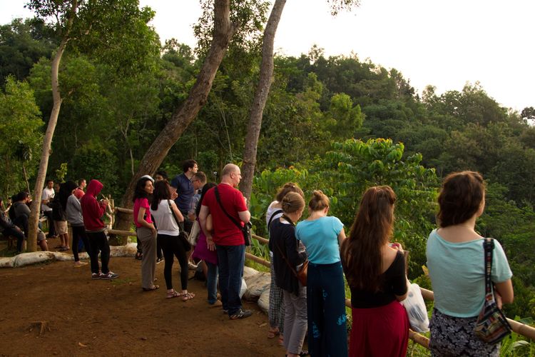Wisatawan asing menyaksikan matahari terbit dari Punthuk Setumbu, Karangrejo, Magelang, Jawa Tengah, Sabtu (28/6/2014). Punthuk Setumbu merupakan nama sebuah bukit yang menjadi salah satu tempat terbaik untuk menyaksikan kemegahan Candi Borobudur dan Gunung Merapi saat matahari terbit. 